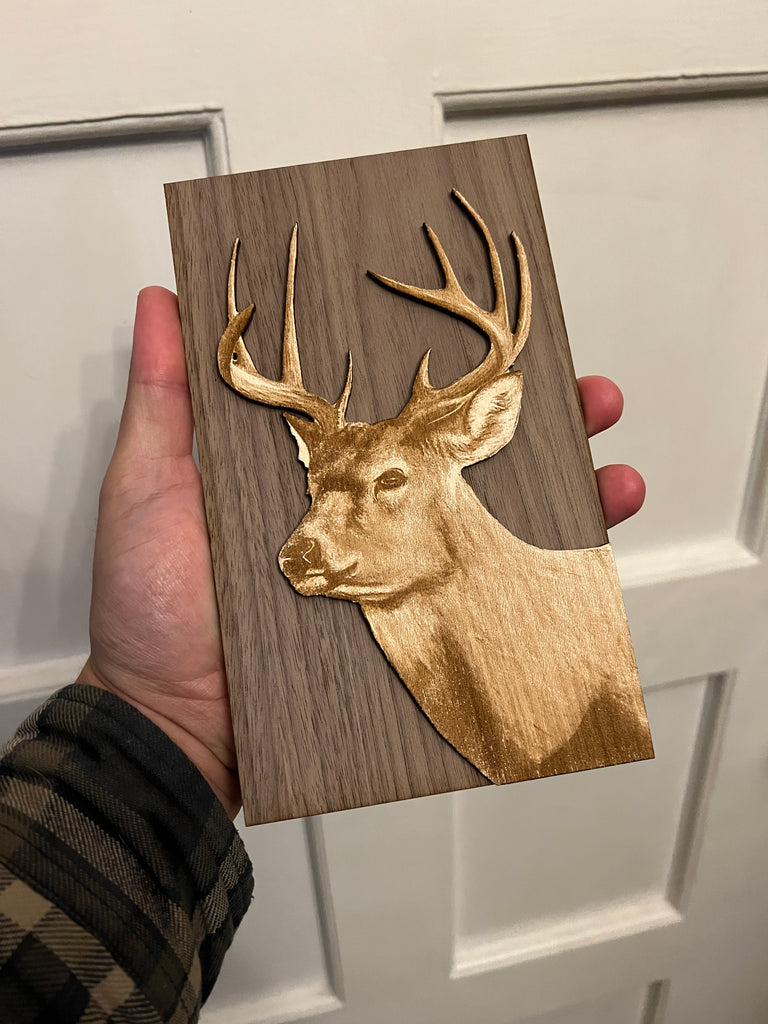 Elk portrait